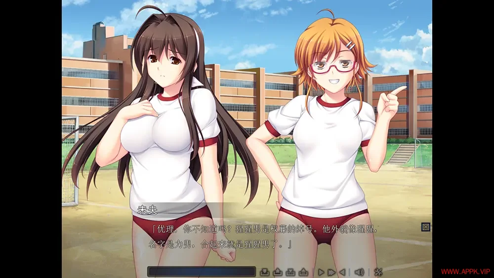 圣天之泪惨遭背刺的天使(Angel Tear Goddess Betrayed)卡通视觉小说游戏|下载